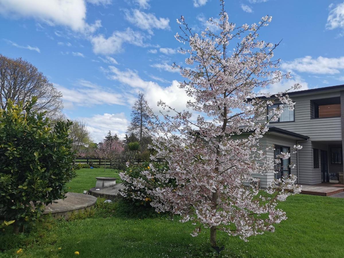 Tamahere Lifestyle Exteriér fotografie